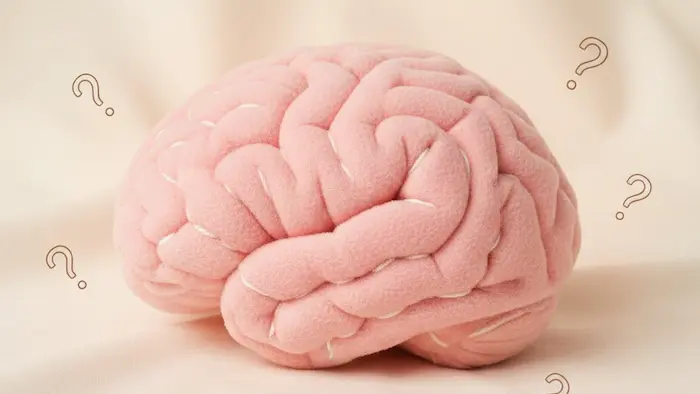 脳の仕組みによる罠「確証バイアス」